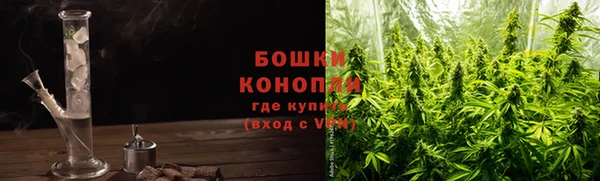 сатива Кинешма