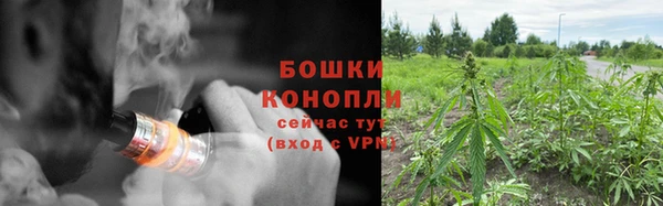 сатива Кинешма