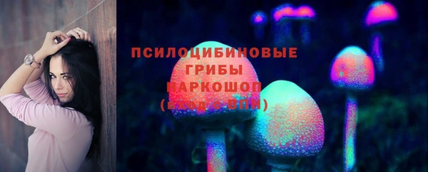 сатива Кинешма