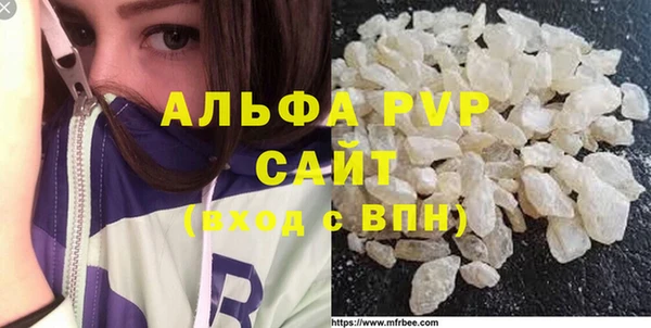 сатива Кинешма