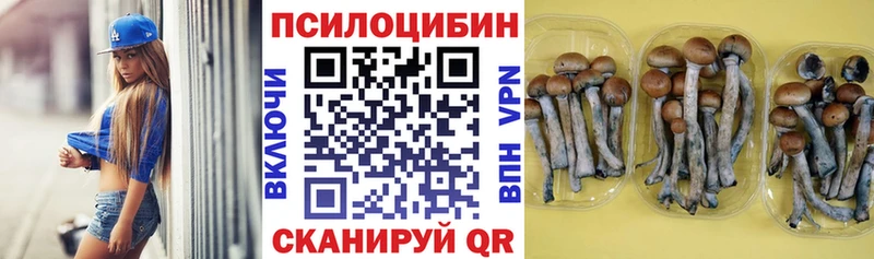 гидра как войти  Десногорск  Псилоцибиновые грибы GOLDEN TEACHER 