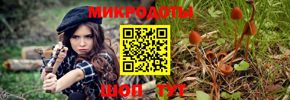 Псилоцибиновые грибы Psilocybine cubensis  Вход с VPN  Десногорск 